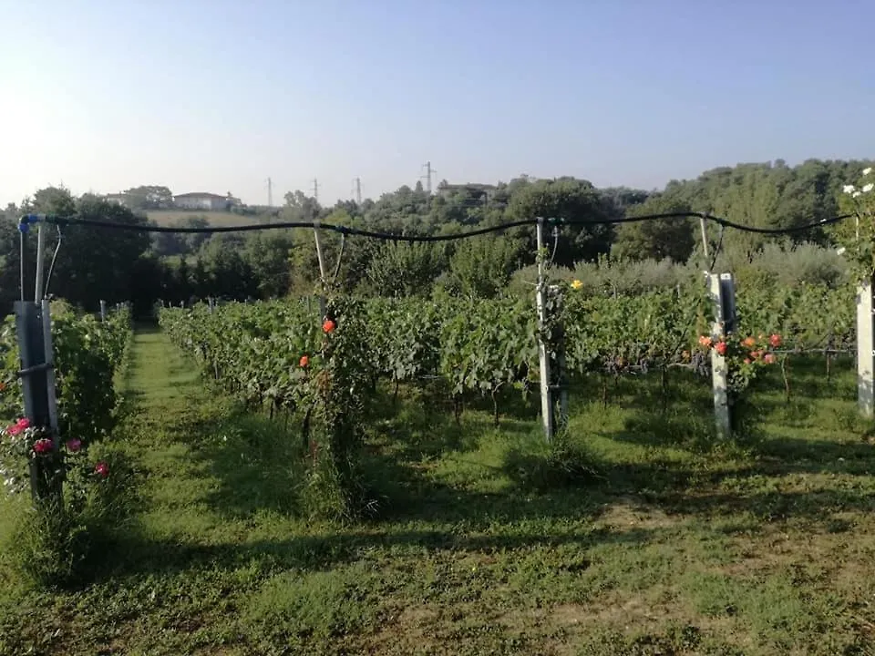 Casa vacanze Villa Il Casale di Lucullo Lucignano